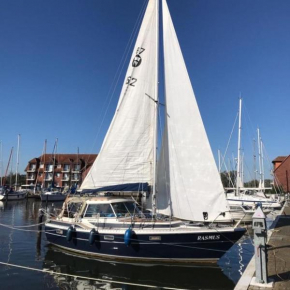 Rasmus, Ueckermünde